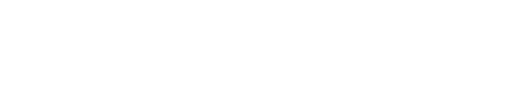Nice logo